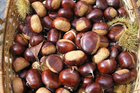 Trobada dels diumenges – Novembre – Castanyada