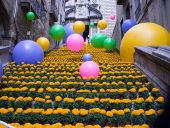 Girona temps de flors